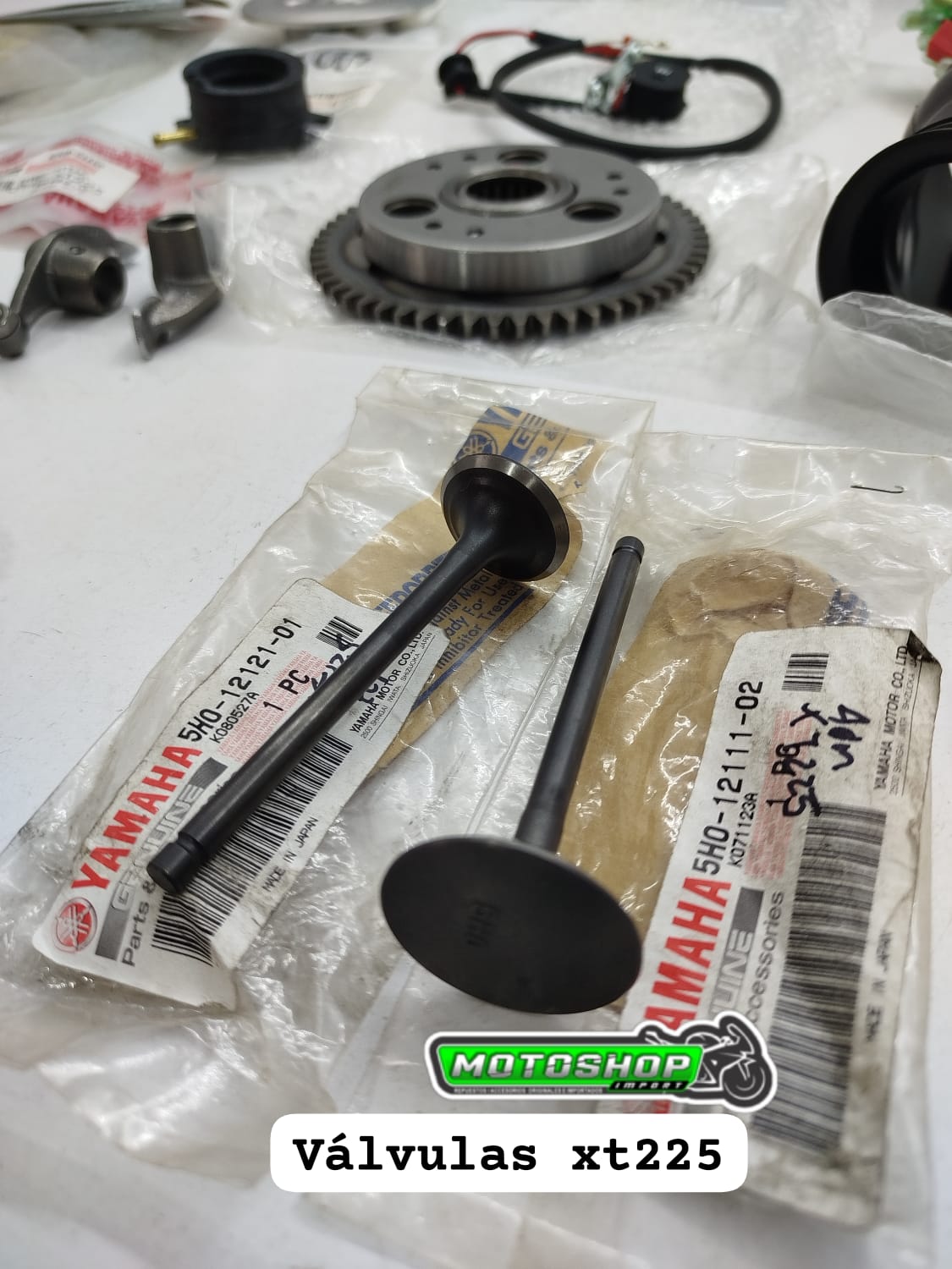 valvulas xt225 original